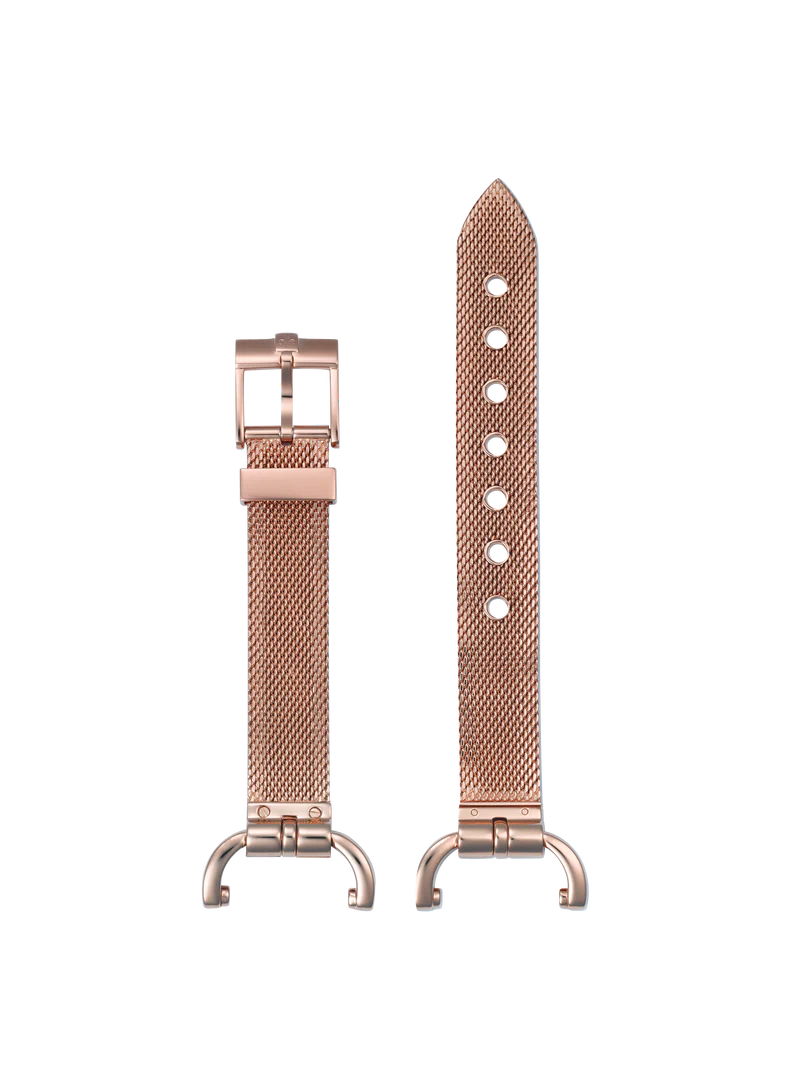 Equus Attelage Watch Plated rose gold case, polished stainless steel index